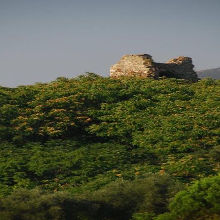 Roxani Country House Resort Marónia Dış mekan fotoğraf